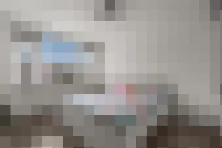 Kraanvogel 12 Nieuwegein thumbnail 5