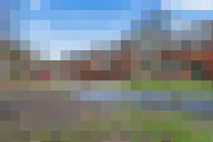 Kraanvogel 12 Nieuwegein thumbnail 8
