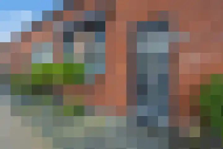 Kraanvogel 12 Nieuwegein thumbnail 9