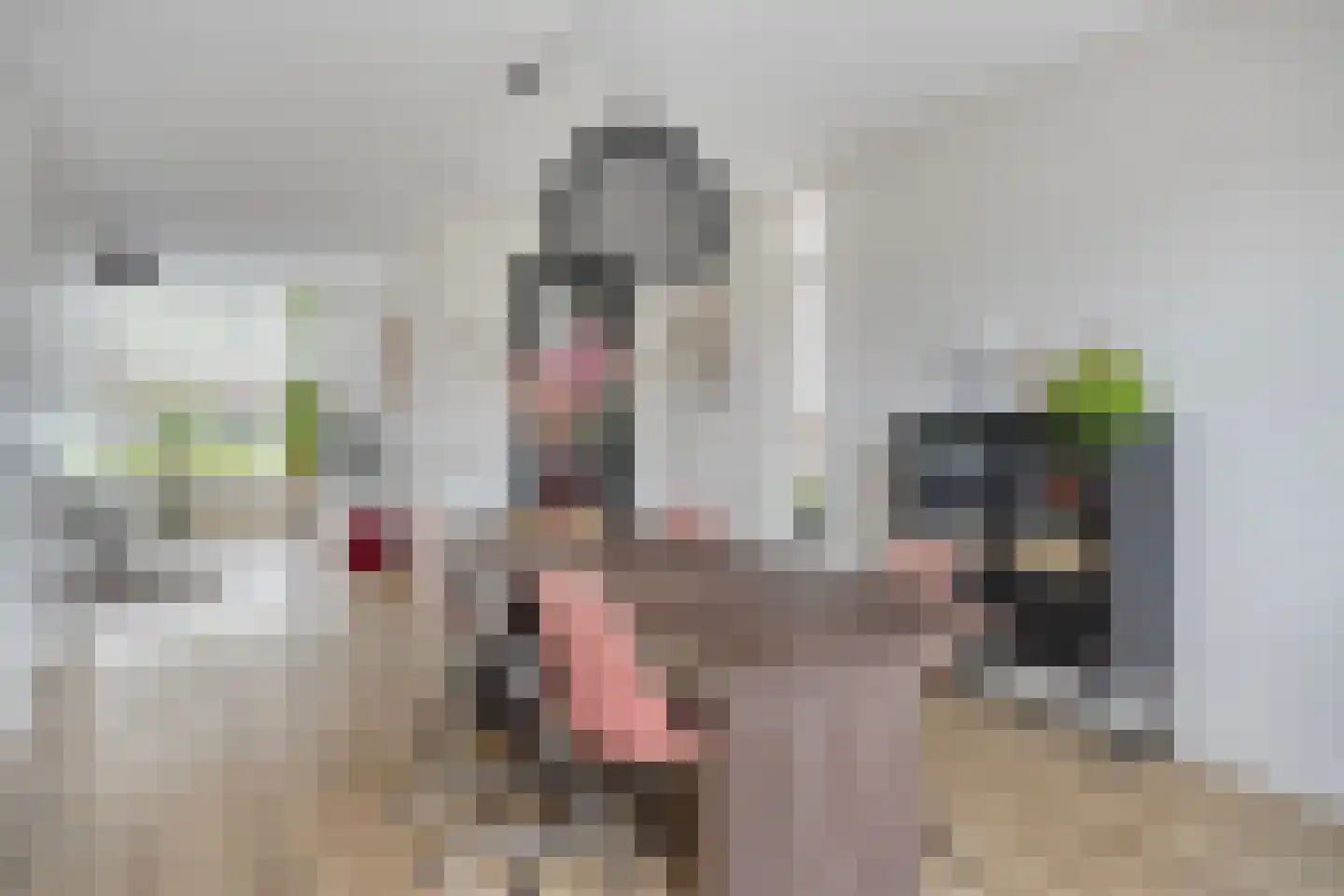 Kraanvogel 18 Terneuzen thumbnail 12