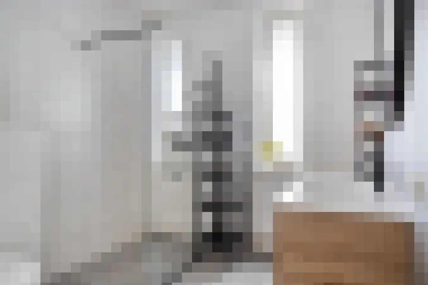 Kraanvogel 18 Terneuzen thumbnail 21