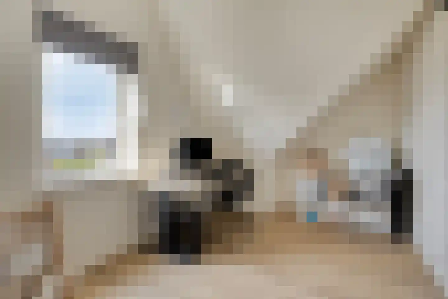 Kraanvogel 18 Terneuzen thumbnail 32