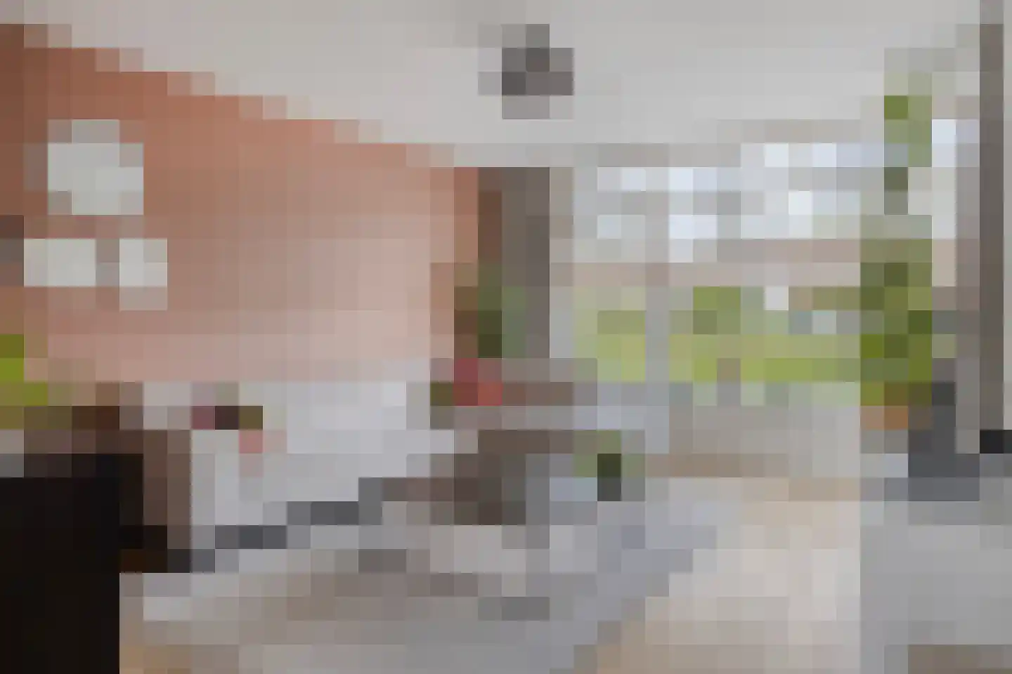 Kraanvogel 18 Terneuzen thumbnail 9