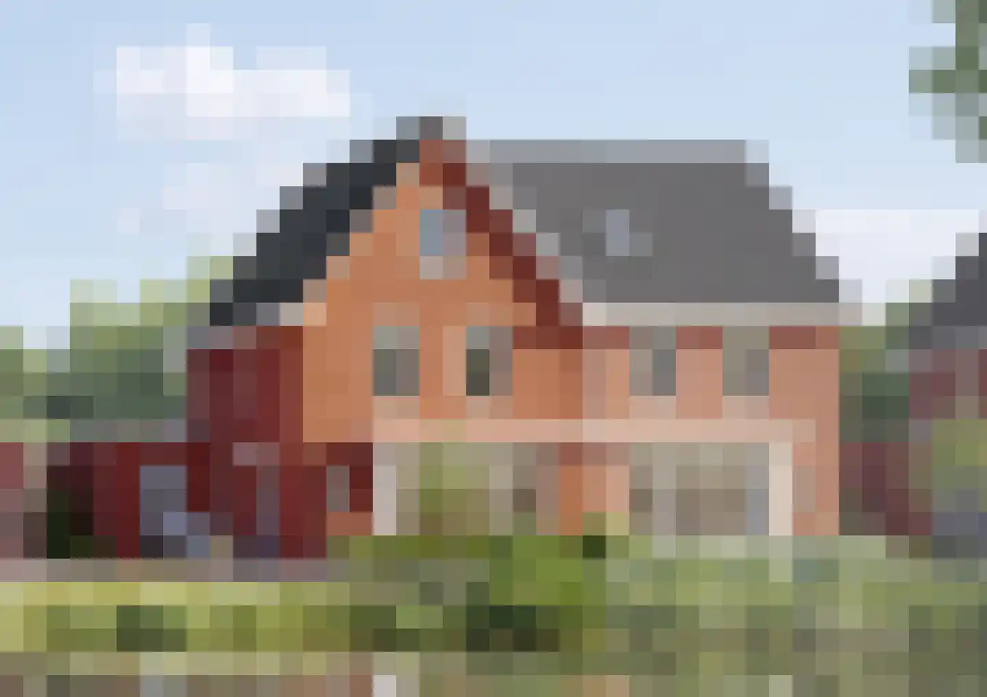 Kraanvogel 2 Terneuzen