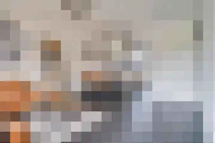 Kraanvogel 22 Boekel thumbnail 10