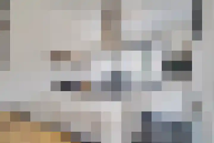 Kraanvogel 22 Boekel thumbnail 11