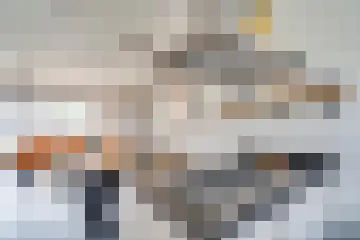 Kraanvogel 22 Boekel thumbnail 12