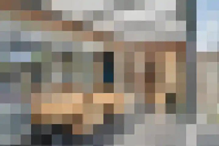 Kraanvogel 22 Boekel thumbnail 13