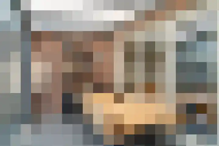 Kraanvogel 22 Boekel thumbnail 14