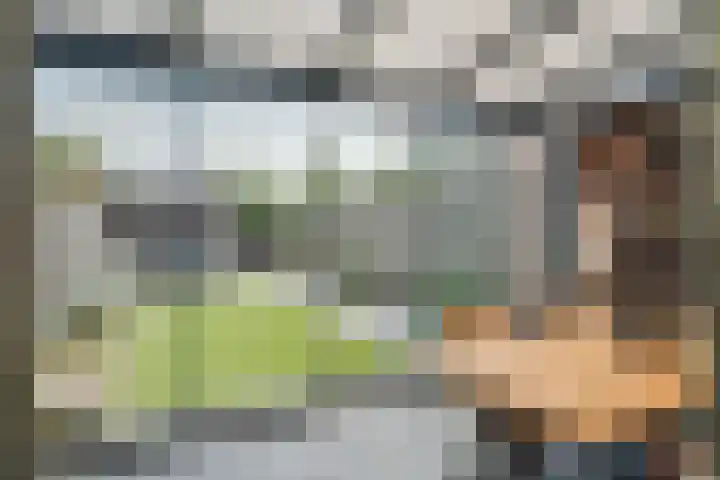 Kraanvogel 22 Boekel thumbnail 15