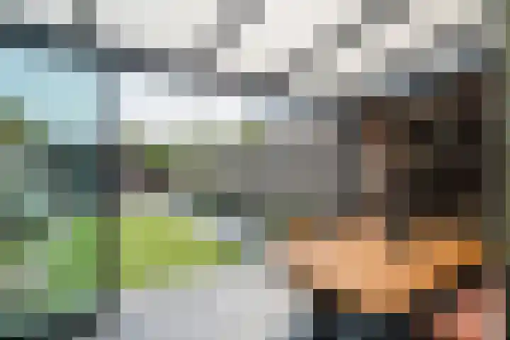 Kraanvogel 22 Boekel thumbnail 16