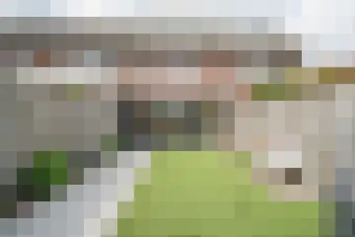 Kraanvogel 22 Boekel thumbnail 17