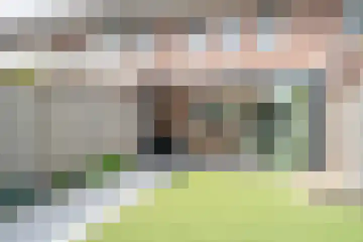 Kraanvogel 22 Boekel thumbnail 18