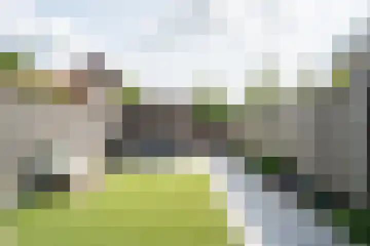 Kraanvogel 22 Boekel thumbnail 20