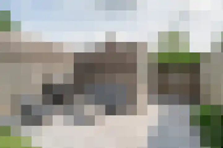 Kraanvogel 22 Boekel thumbnail 21