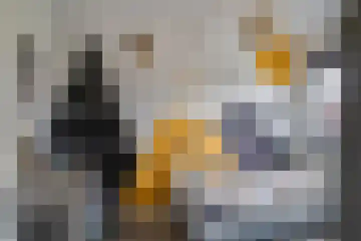 Kraanvogel 22 Boekel thumbnail 24