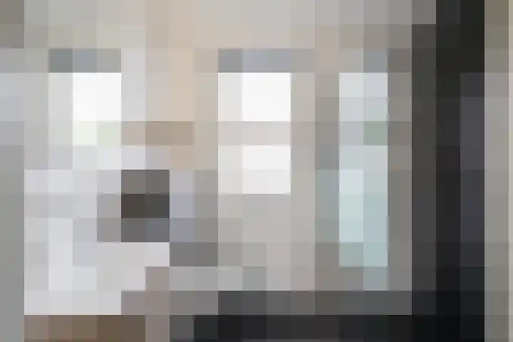 Kraanvogel 22 Boekel thumbnail 25