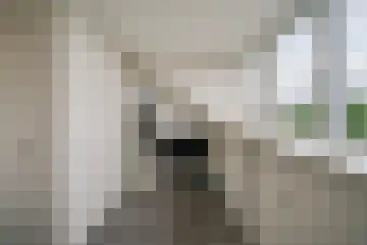 Kraanvogel 22 Boekel thumbnail 29