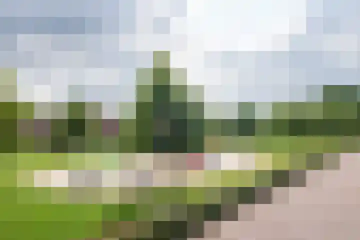 Kraanvogel 22 Boekel thumbnail 32