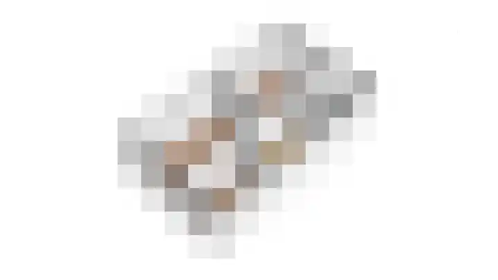 Kraanvogel 22 Boekel thumbnail 37