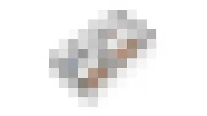 Kraanvogel 22 Boekel thumbnail 38
