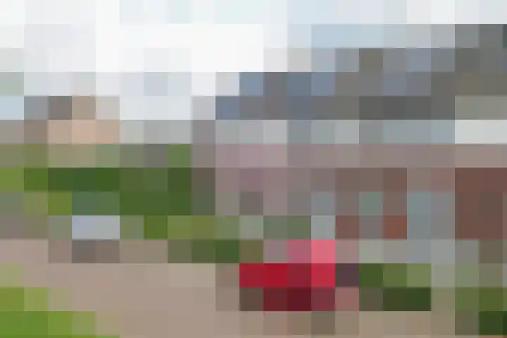 Kraanvogel 22 Boekel thumbnail 4