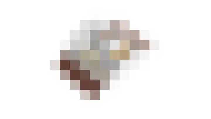 Kraanvogel 22 Boekel thumbnail 40