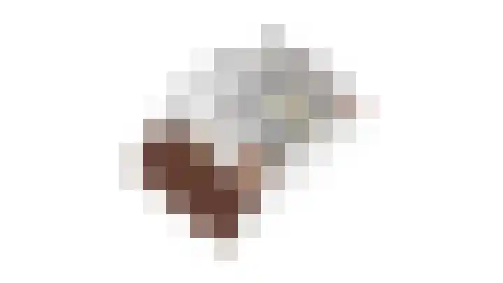Kraanvogel 22 Boekel thumbnail 41