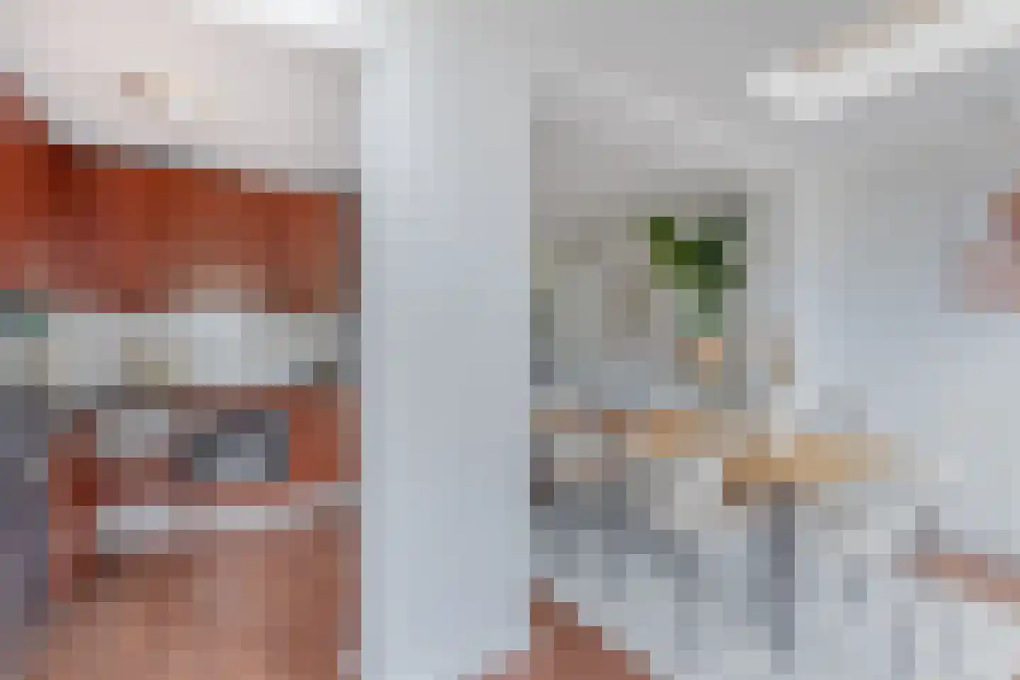 Kraanvogel 23 Breda thumbnail 10