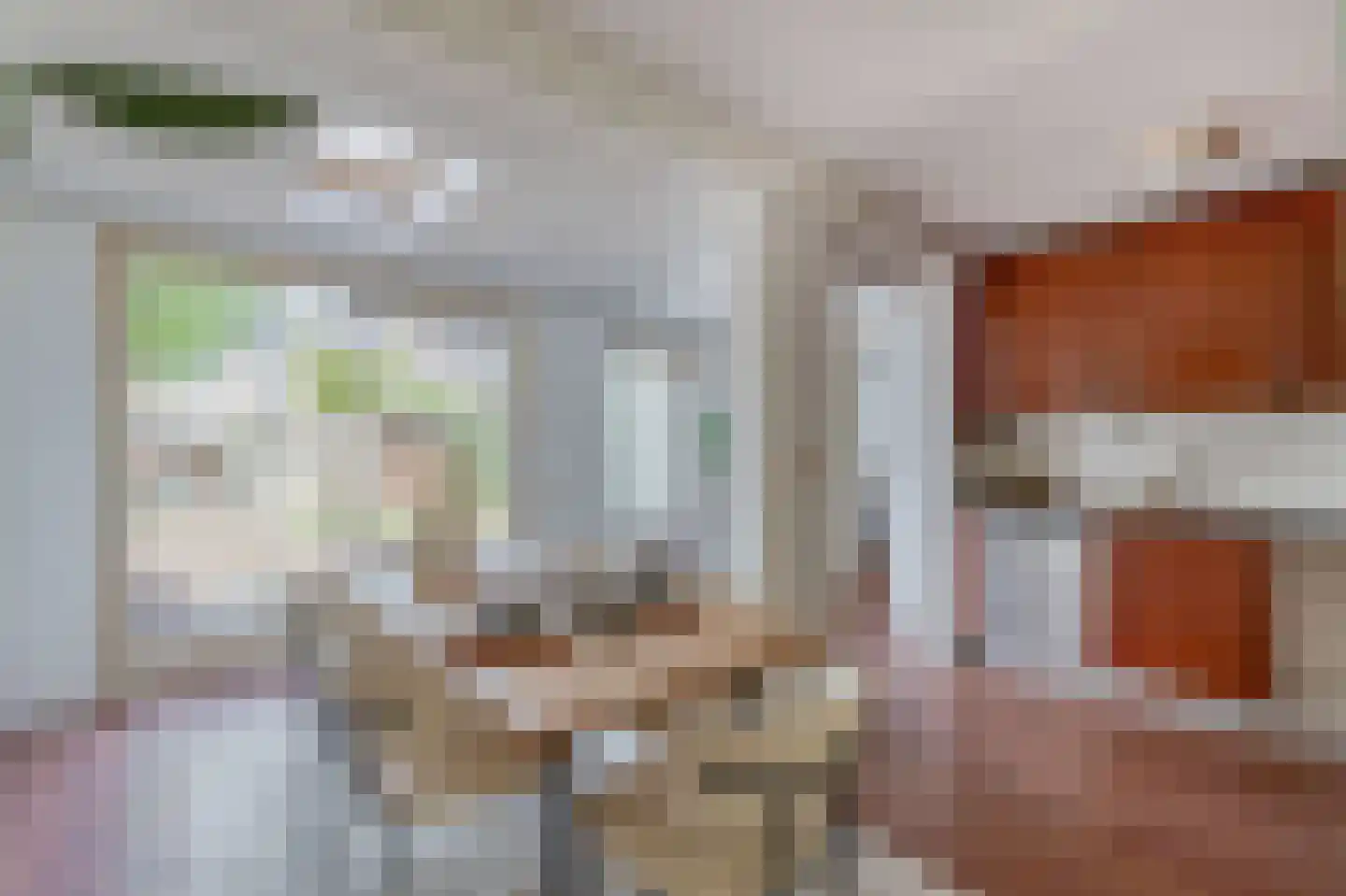 Kraanvogel 23 Breda thumbnail 12