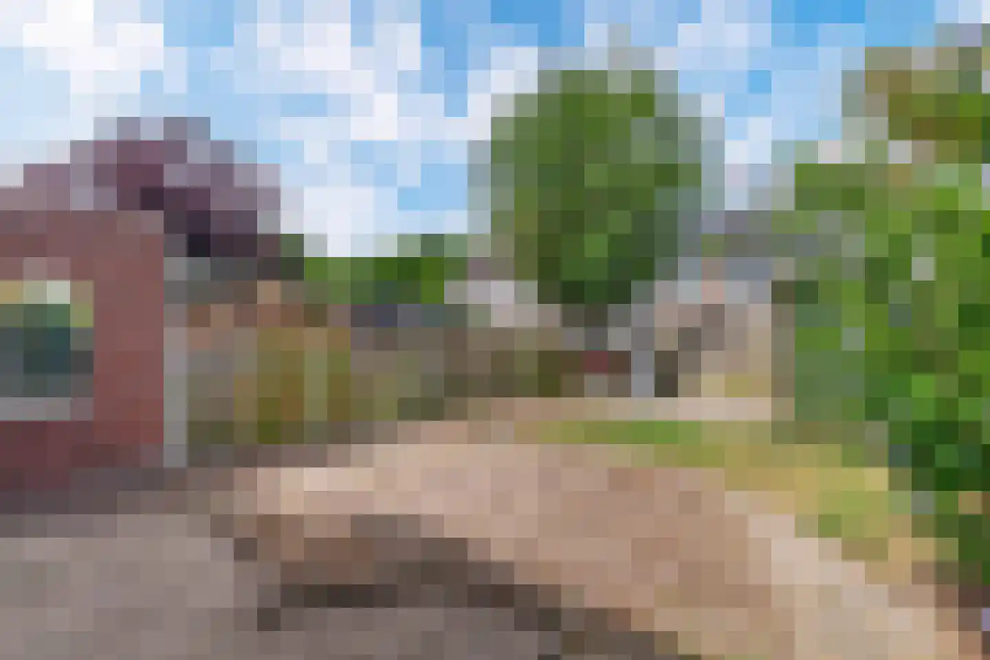 Kraanvogel 23 Breda thumbnail 19