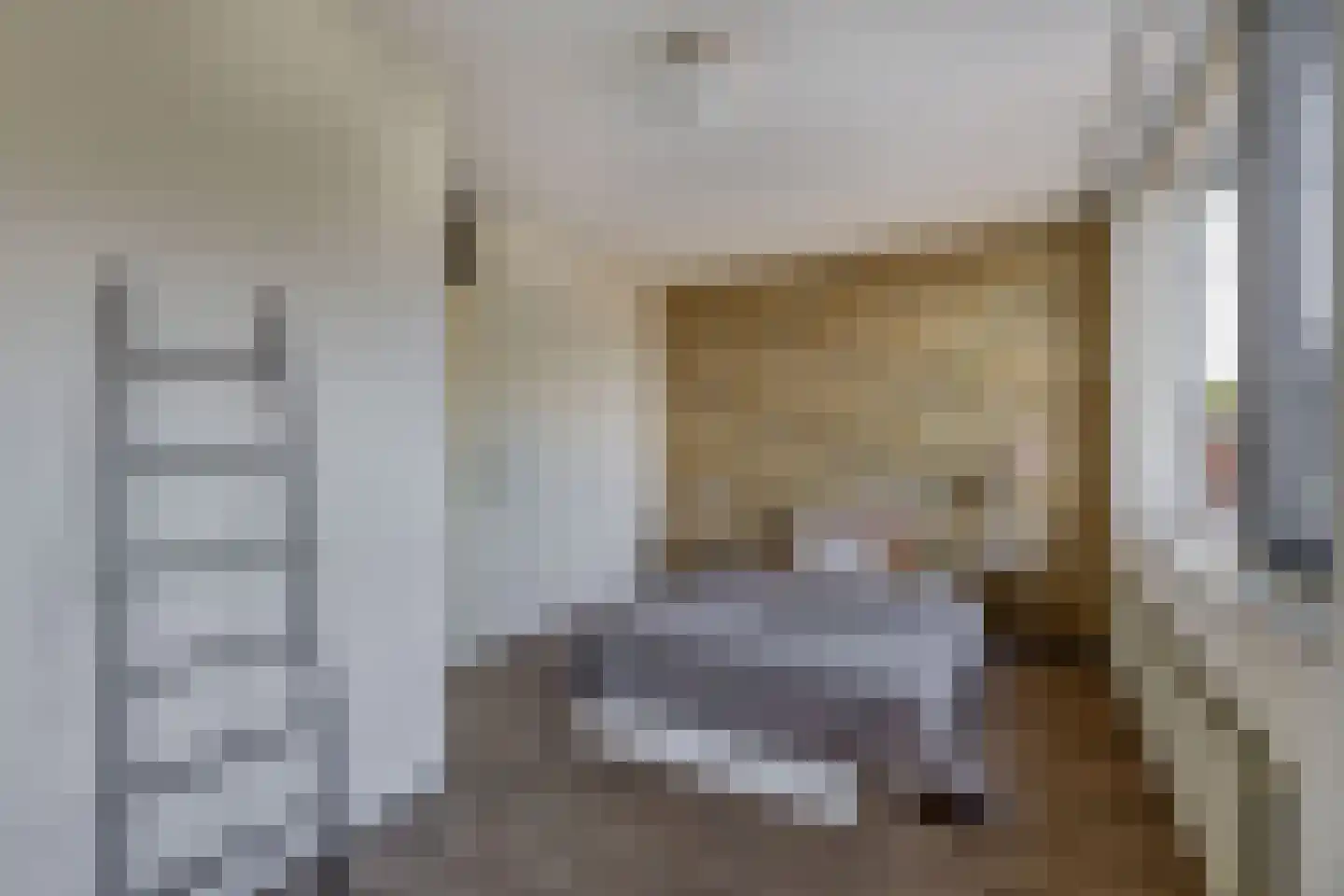 Kraanvogel 23 Breda thumbnail 25