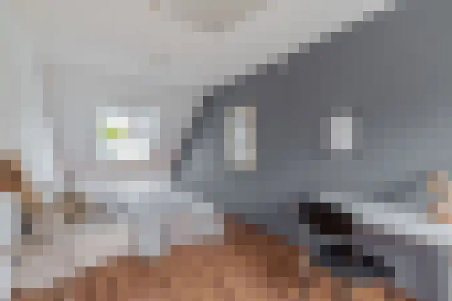 Kraanvogel 23 Breda thumbnail 27