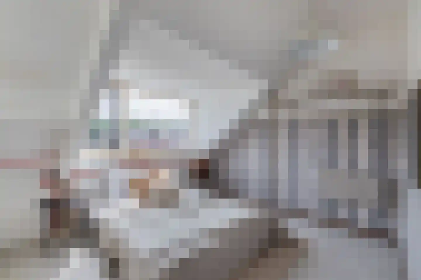 Kraanvogel 23 Breda thumbnail 32