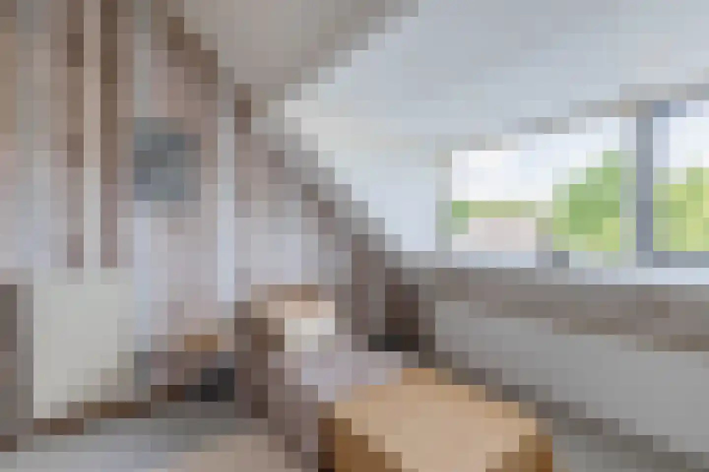 Kraanvogel 23 Breda thumbnail 33