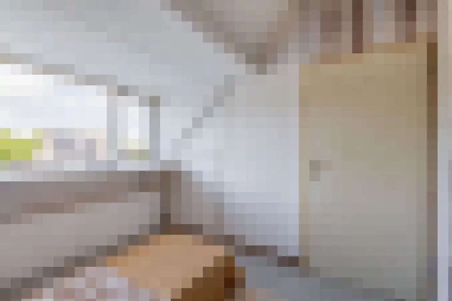 Kraanvogel 23 Breda thumbnail 34