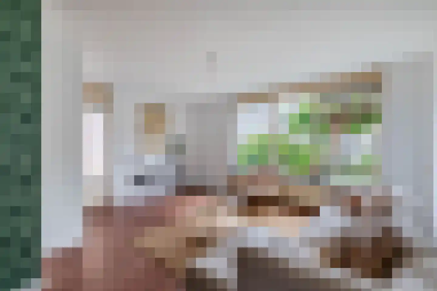 Kraanvogel 23 Breda thumbnail 7