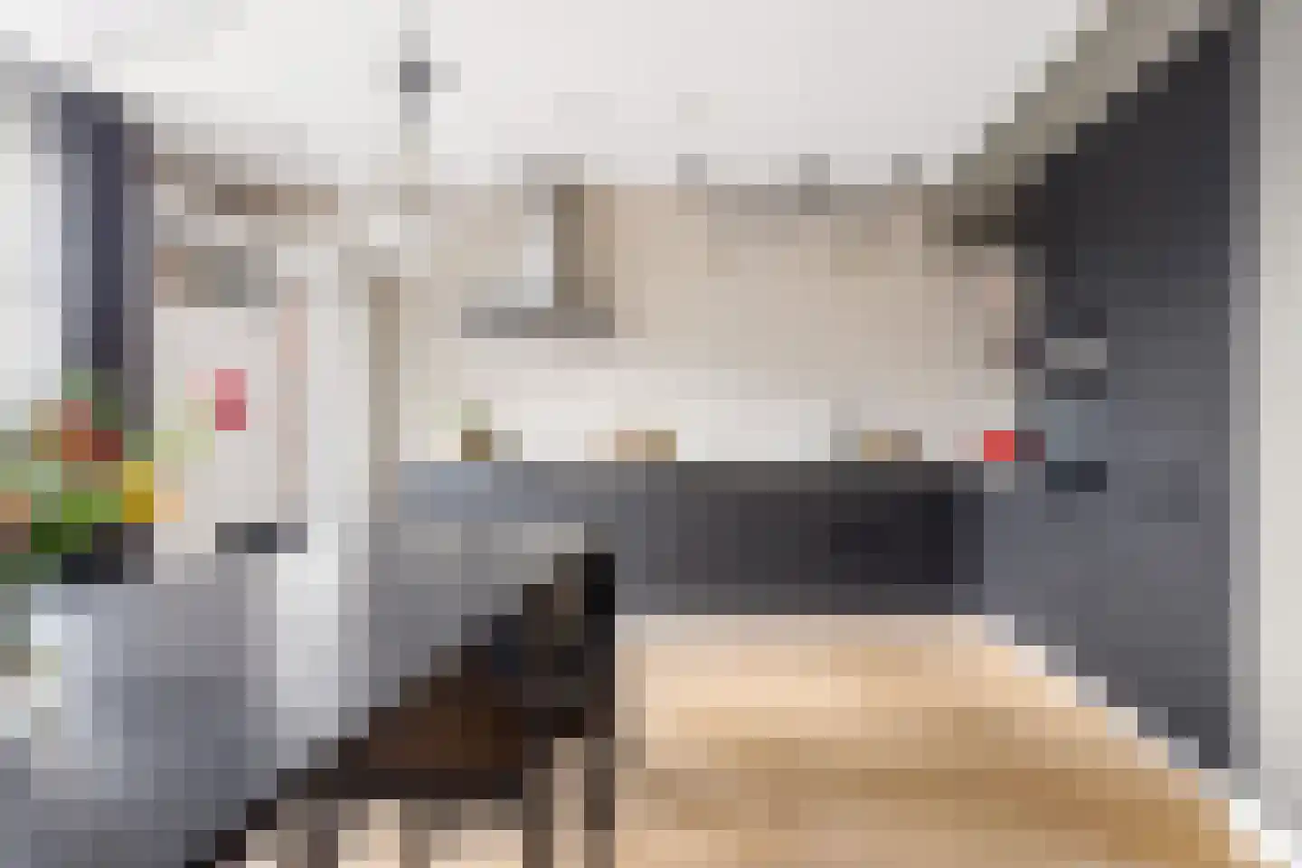 Kraanvogel 3 Boekel thumbnail 15