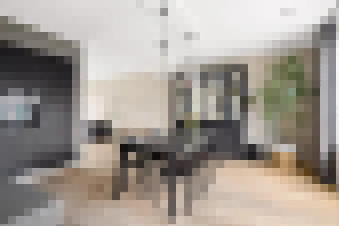Kraanvogel 3 Boekel thumbnail 17