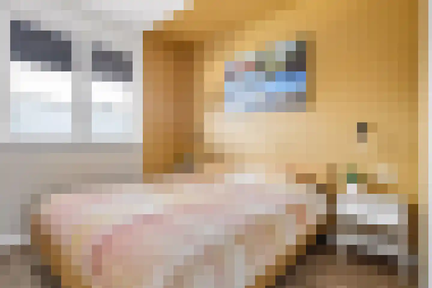 Kraanvogel 3 Boekel thumbnail 32