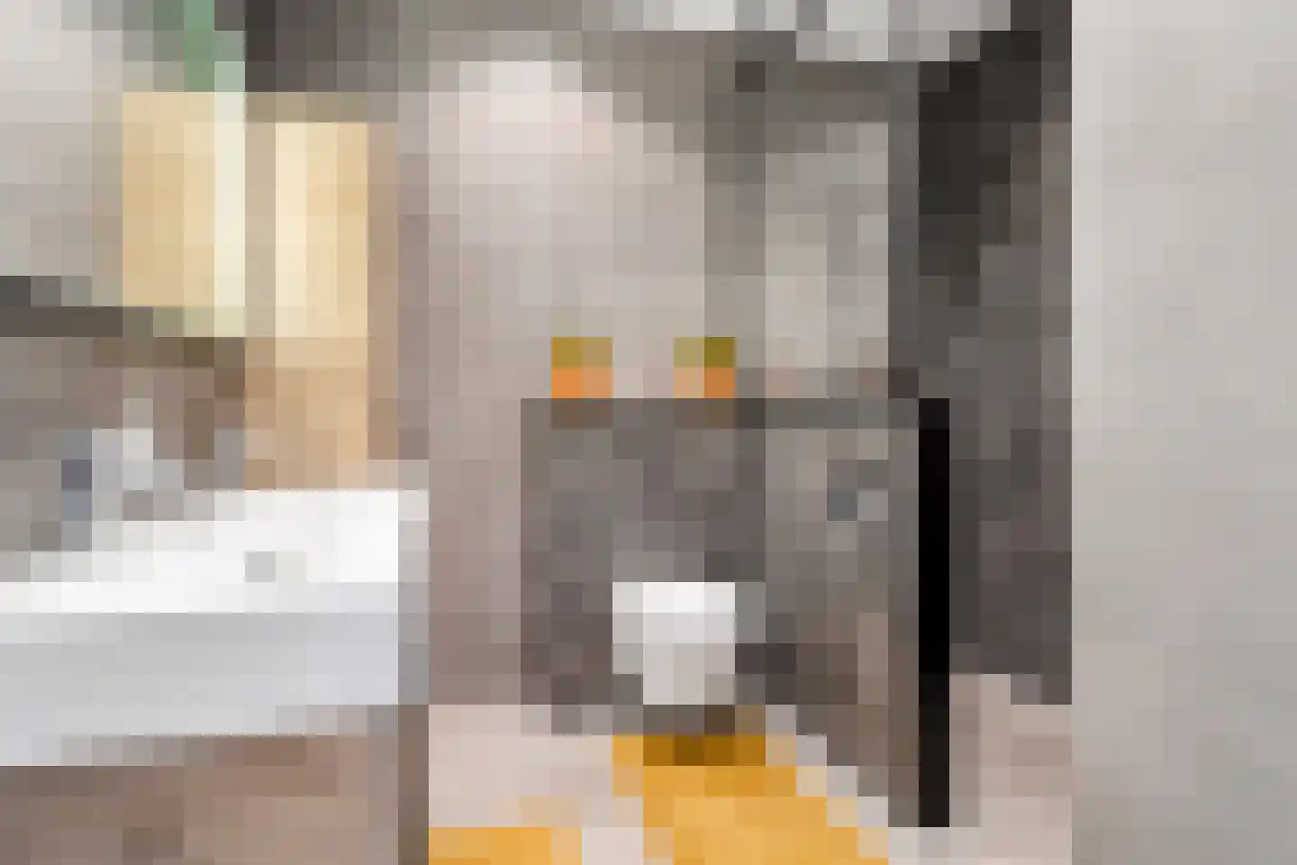 Kraanvogel 3 Boekel thumbnail 35