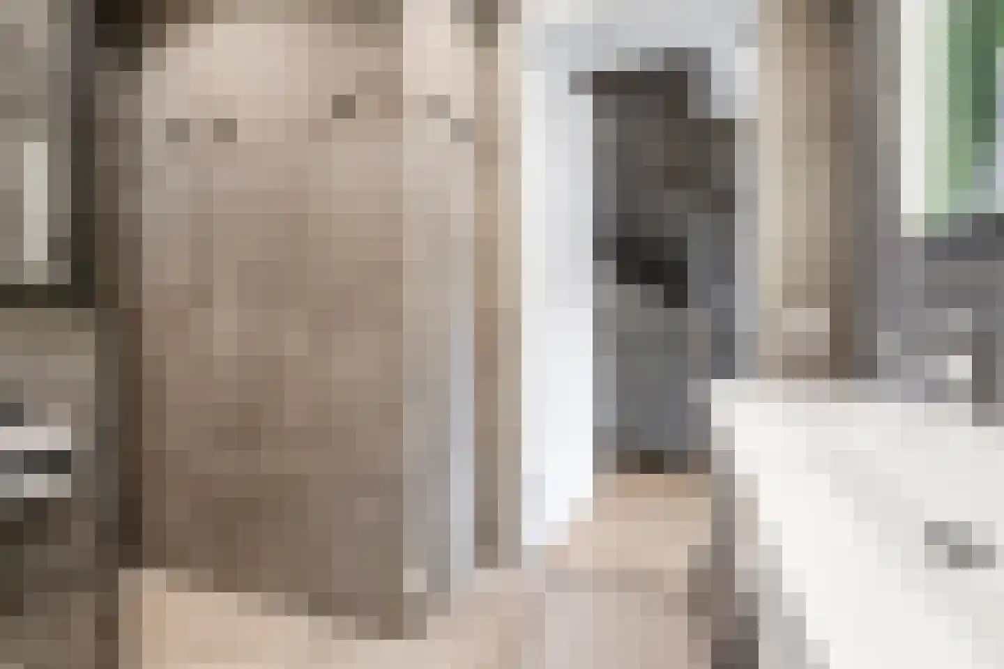 Kraanvogel 3 Boekel thumbnail 36