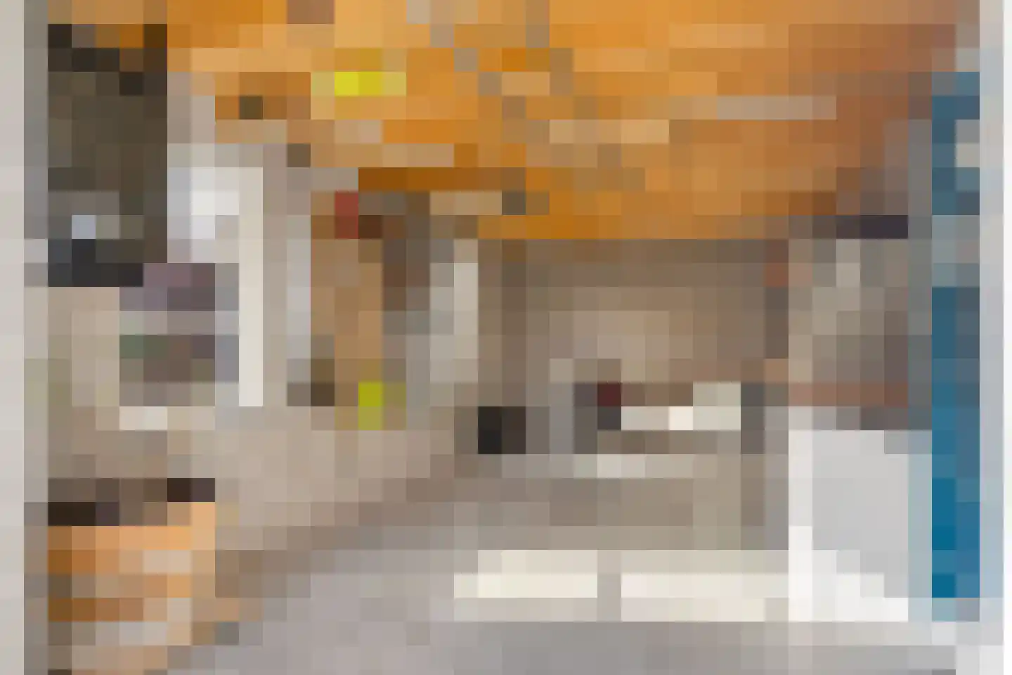 Kraanvogel 3 Boekel thumbnail 48