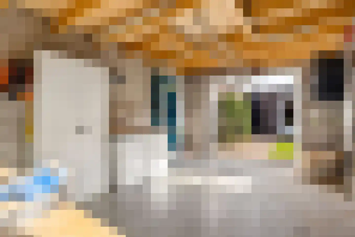 Kraanvogel 3 Boekel thumbnail 49