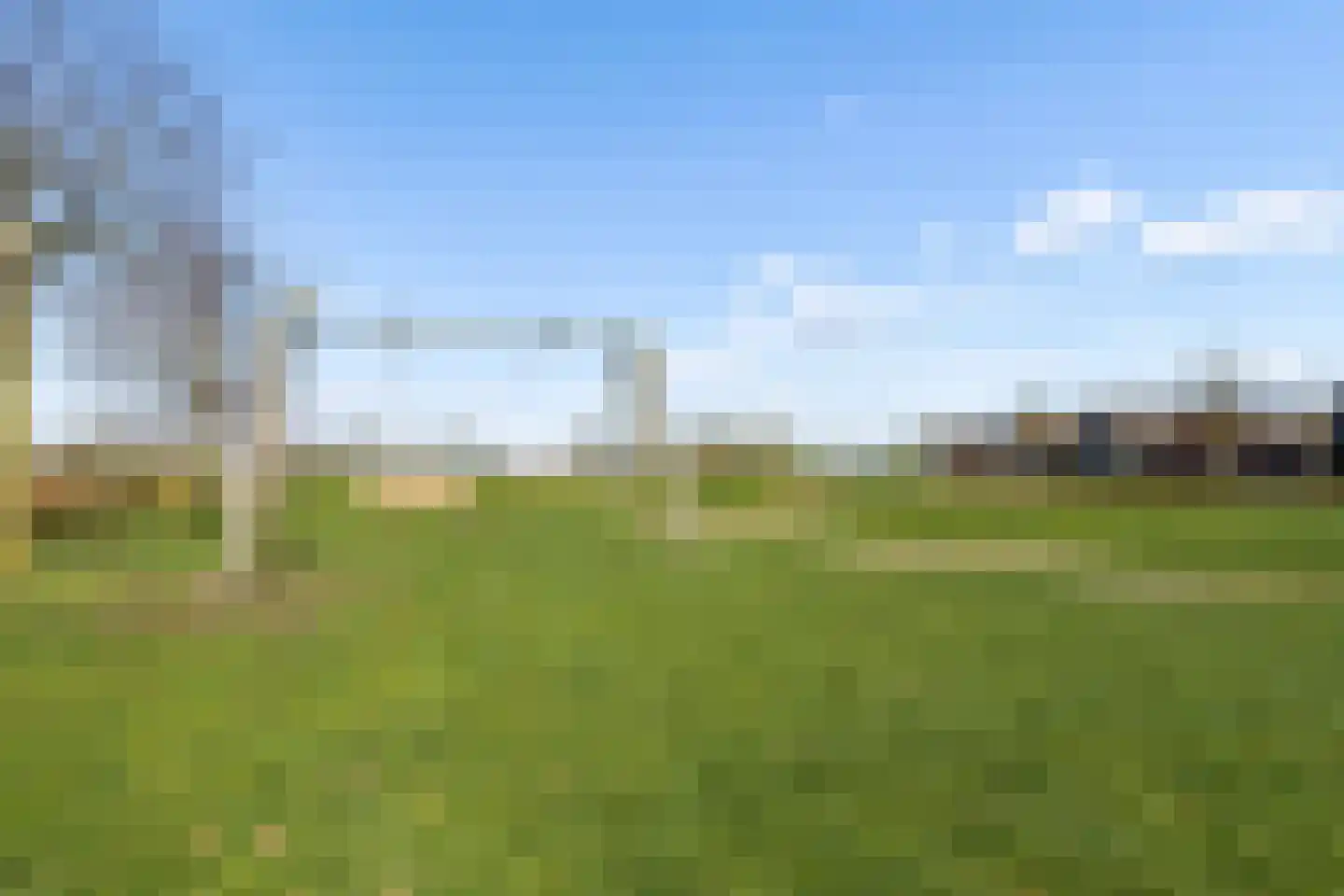 Kraanvogel 3 Boekel thumbnail 51