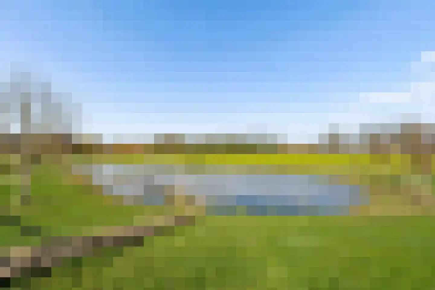 Kraanvogel 3 Boekel thumbnail 52