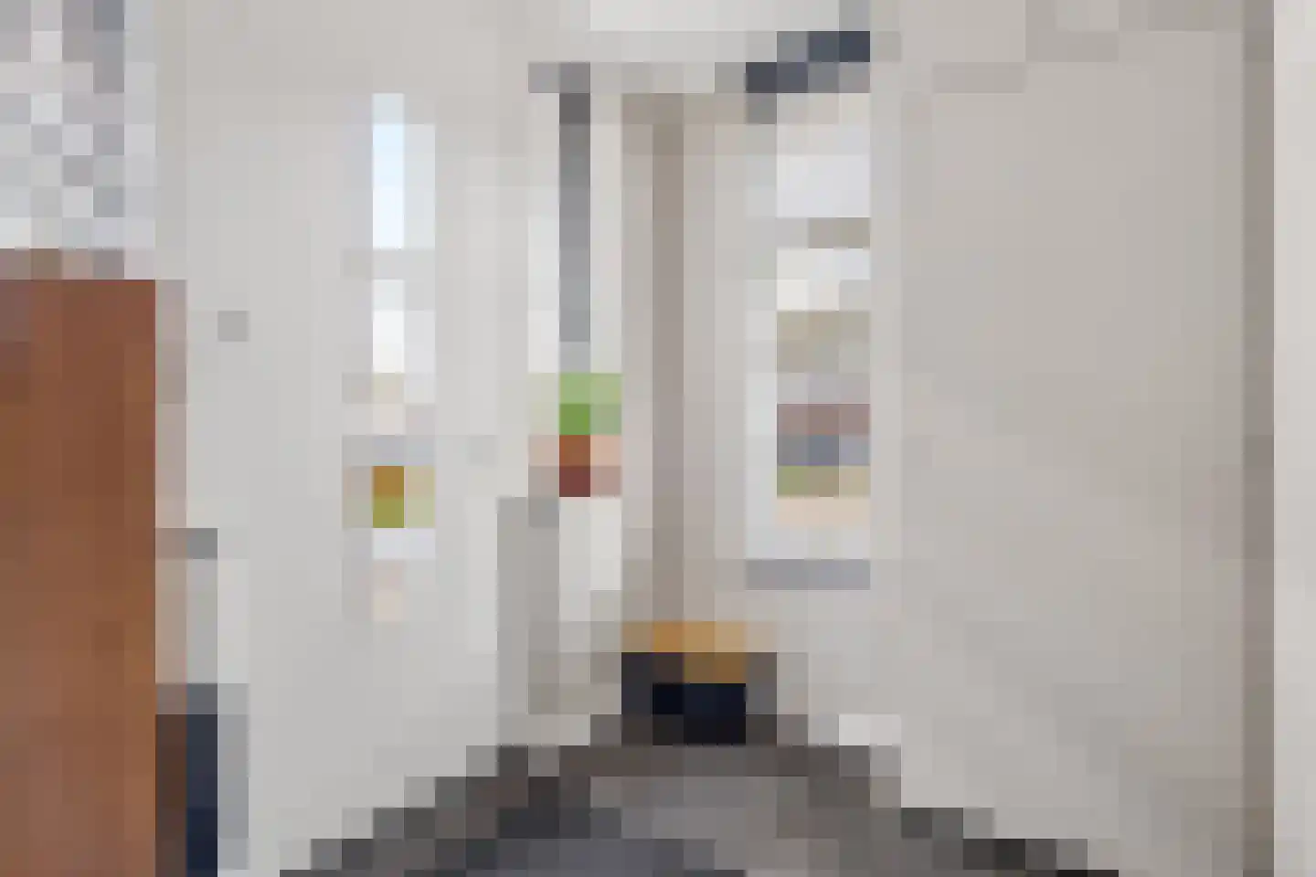 Kraanvogel 3 Boekel thumbnail 6
