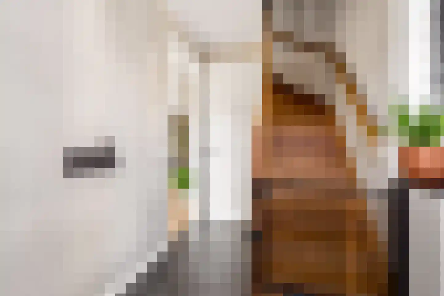 Kraanvogel 3 Boekel thumbnail 7