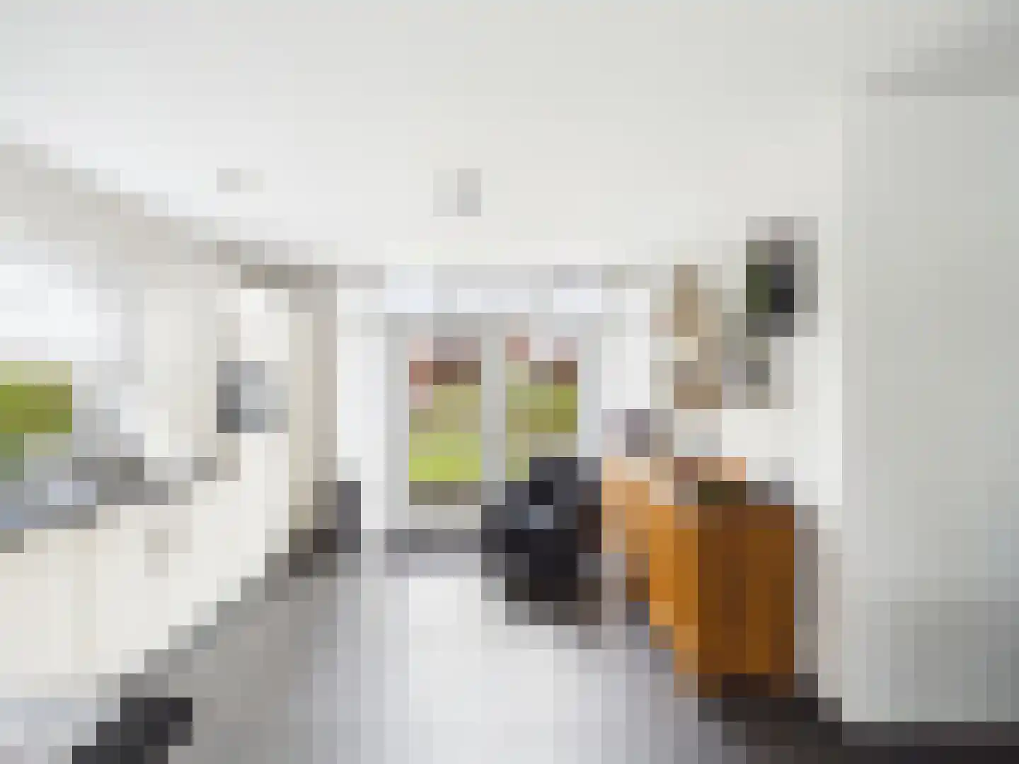 Kraanvogel 3 Terneuzen thumbnail 11