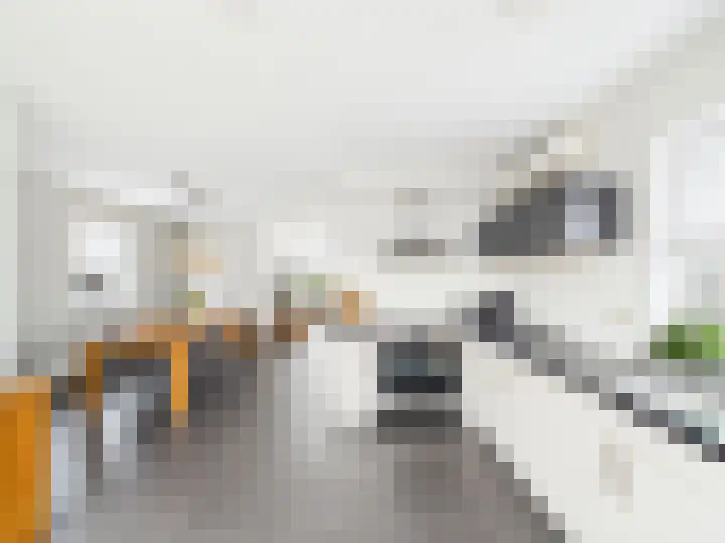 Kraanvogel 3 Terneuzen thumbnail 14